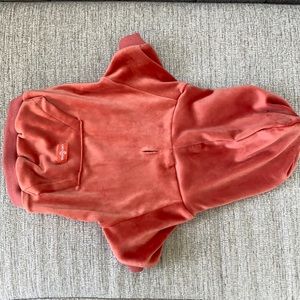 Lucy & Co. Dog Hoodie